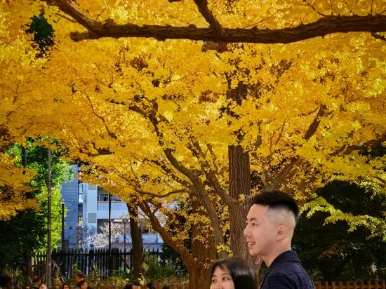 東京半藏門NEST飯店優惠