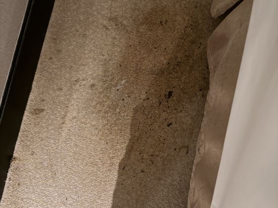 惠州半島格蘭雲天國際酒店優惠