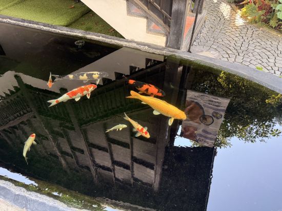 布里斯裡平河畔度假村及水療中心優惠