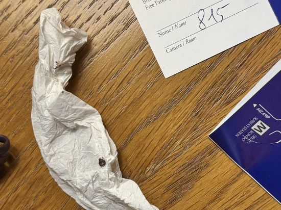 巴洛尼迪薩西大酒店優惠