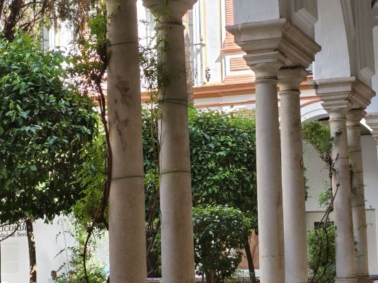 阿里薩若斯波塞爾優惠