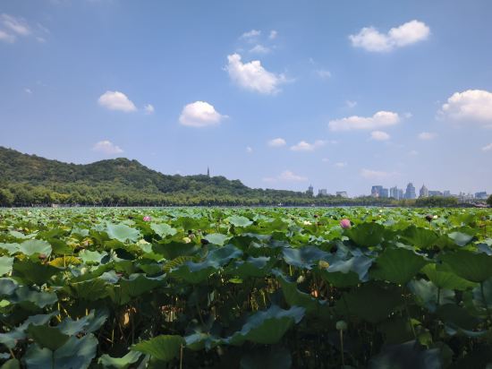 杭州武林國際城市營地（西湖武林門地鐵站店）優惠