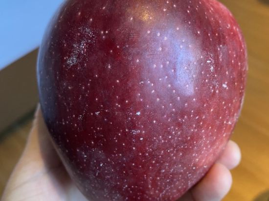 蘭州民航招待所優惠