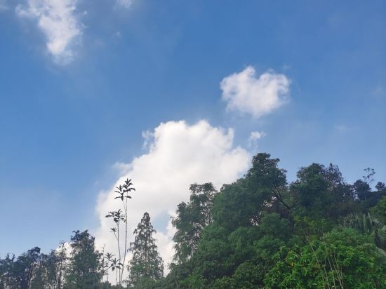 麗楓酒店（清遠市政府新城汽車站店）優惠