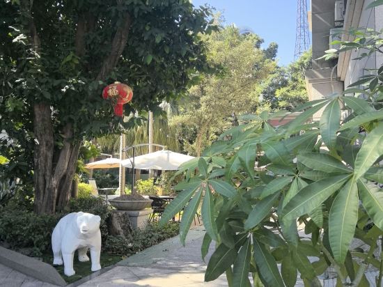 鼓浪嶼柏文熊飯店（三丘田碼頭店）優惠