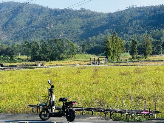 犬禾民宿（珠海斗門御溫泉店）優惠