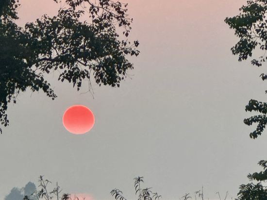 蘇州太湖萬麗酒店優惠