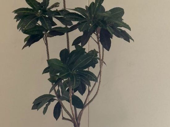 瀋陽香格里拉今旅飯店優惠