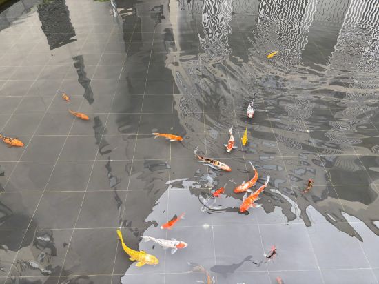 深圳伊敦雅詩閣服務公寓優惠