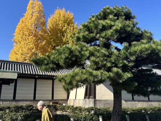 ダイワロイネットホテル京都駅前 クーポン