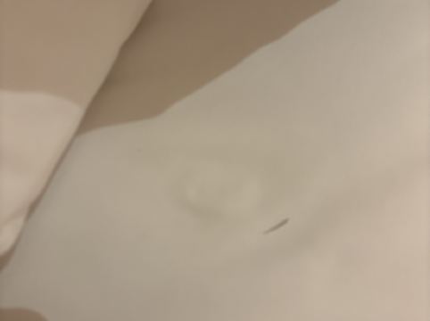 廣州南沙花園酒店優惠