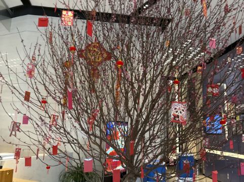 深圳北站希爾頓歡朋酒店優惠