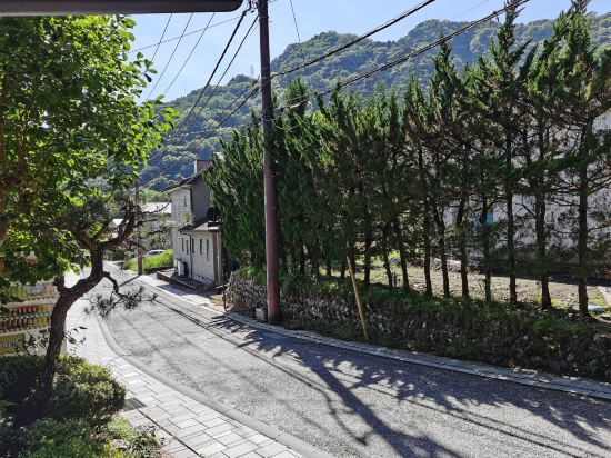 アネックス タートル ほとり庵 クーポン