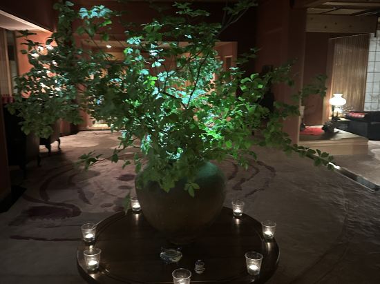 扉温泉明神館 クーポン