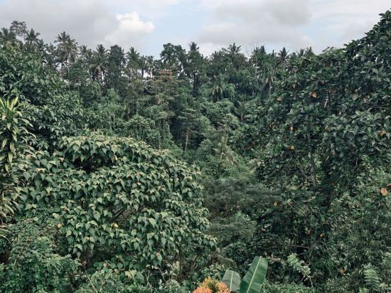峇里島卡曼達魯度假村 - CHSE Certified優惠