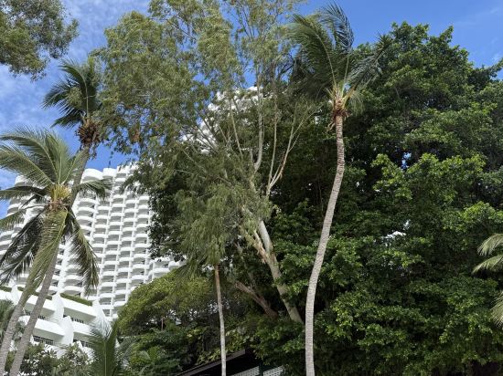 芭達雅皇家克里夫海灘露台飯店優惠