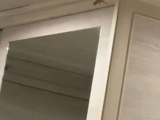 布吉諾富特度假村（SHA Extra Plus）優惠