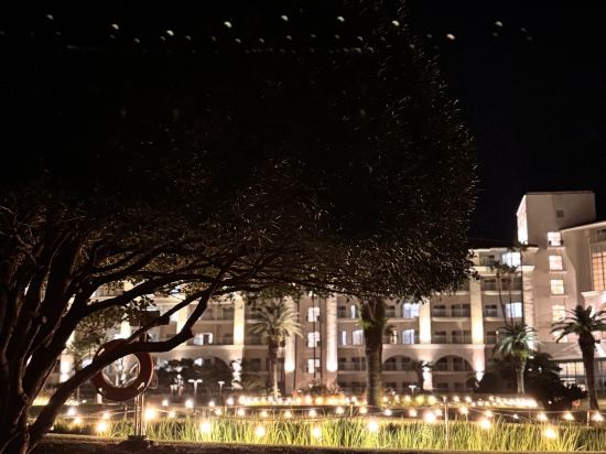 소노캄 제주 쿠폰