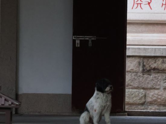 城適旅休飯店（泉州美食街店）優惠