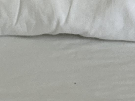 錦江之星風尚（中山石岐大信新都滙店）優惠