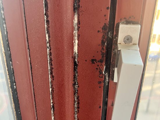 瑞丁貝爾特酒店優惠