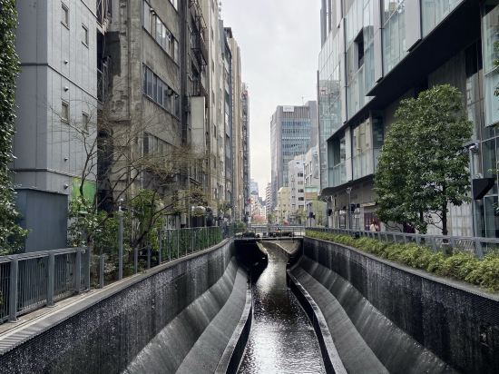 東急ステイ渋谷 新南口 クーポン