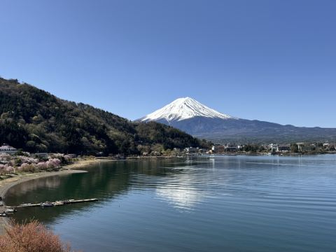 河口湖ホテルニューセンチュリー クーポン