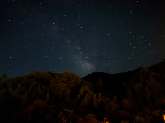 新樺川観光ホテル クーポン