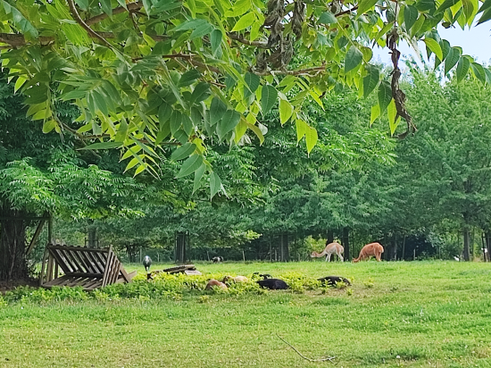 法國谷康鉑飯店優惠