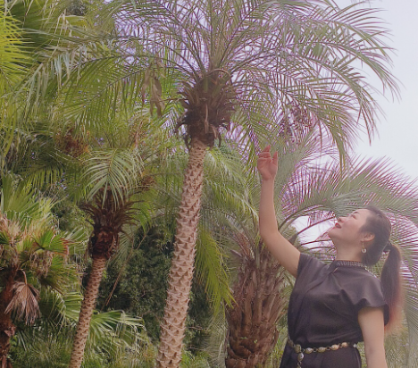 台山喜運來温泉大酒店優惠