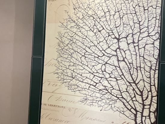 紫荊花連鎖酒店（南寧廣西大學東門店）優惠