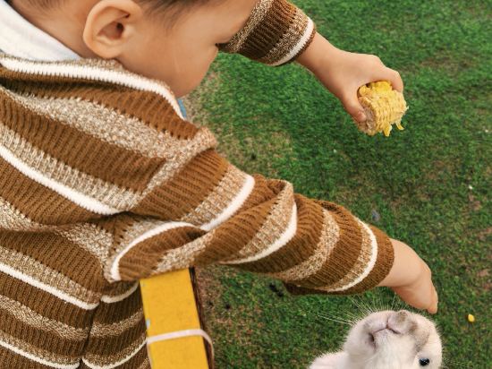 三亞海棠灣喜來登度假酒店優惠