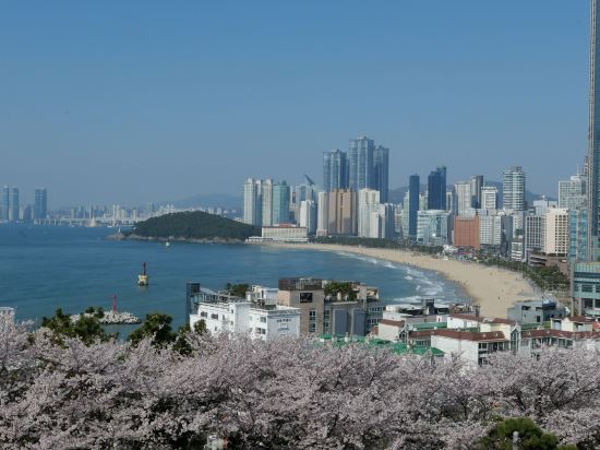 호텔 일루아 쿠폰