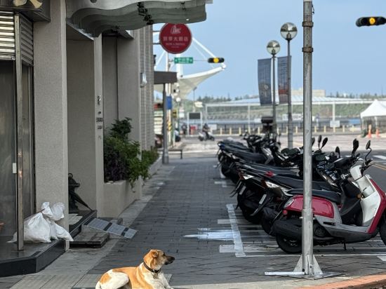 澎湖長春大飯店優惠