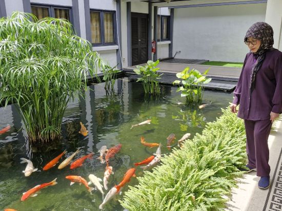 金馬侖高原度假村- 全球奢華精品酒店優惠