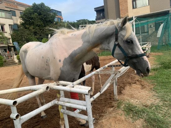 金門樂客民宿優惠
