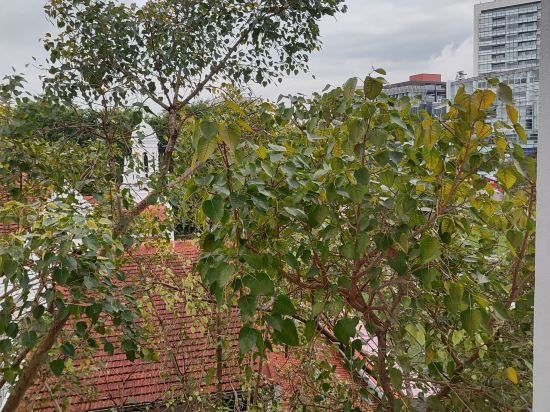 新加坡基督敎靑年會優惠