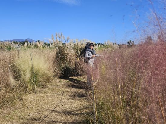 호텔 더본 제주 쿠폰