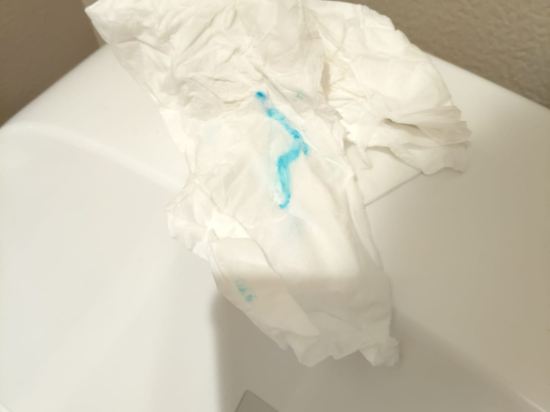 東京豐洲日航城市酒店優惠