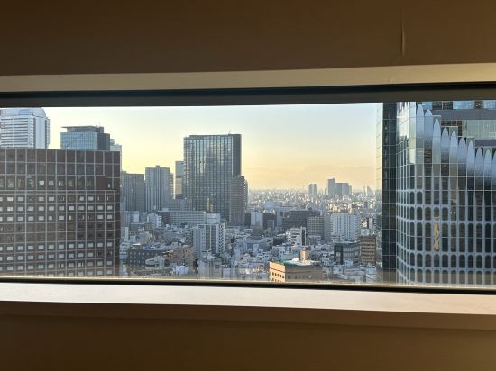 格拉斯麗新宿酒店優惠