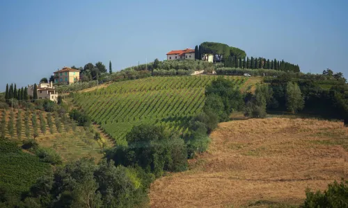 Capanna 1826 Xung quanh Photos