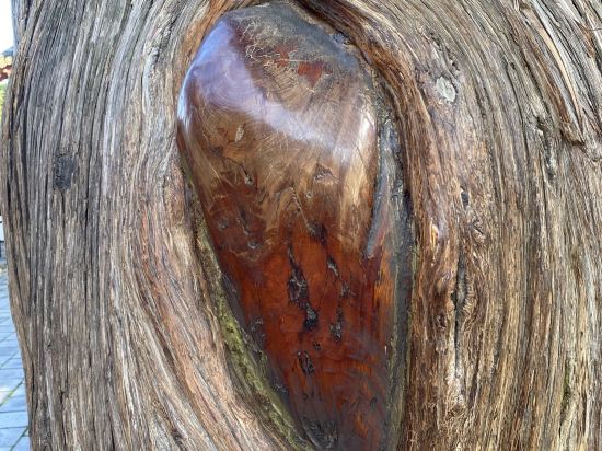 蘭州民航招待所優惠