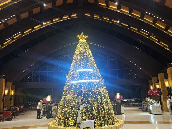 三亞灣海居鉑爾曼度假酒店優惠