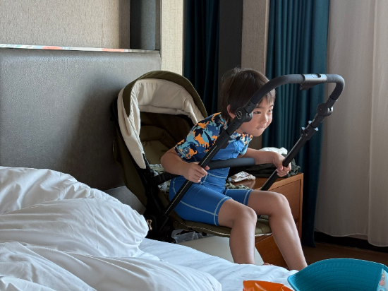 麗楓酒店（珠海斗門店）優惠