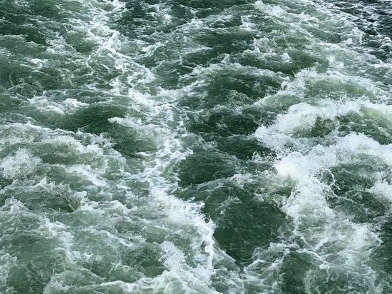 廈門宸洲海景洲際酒店優惠