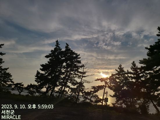Seocheon Chunjangdae Adria 쿠폰