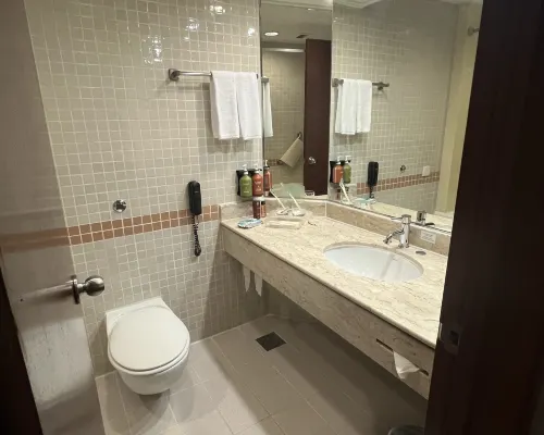 Holiday Inn SINGAPORE ATRIUM by IHG Rooms Photos