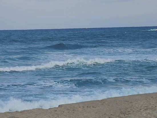 Gangneung Gyeongpodae Jajaknamu 쿠폰