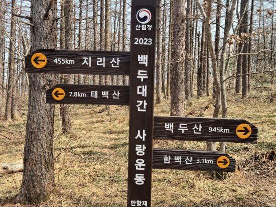 그랜드 인투라온 호텔 정선 쿠폰