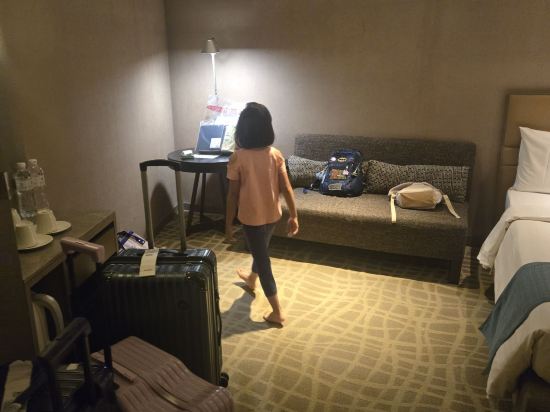 台北德立莊酒店優惠